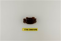 藏品(奧氏後相手蟹)的圖片